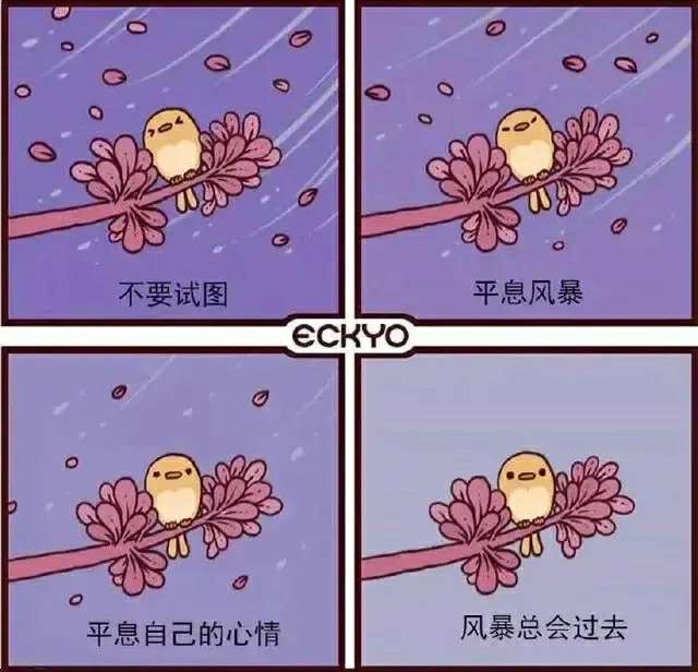 67fafa52c87e4c439033e6adeebd2fb6.Jpeg